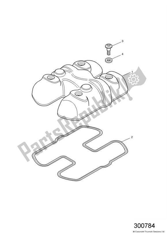 Tutte le parti per il Copertura Per Camma del Triumph America Carburettor 790 2002 - 2007